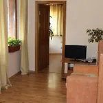 Brezata - Betula *
