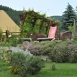 Brezata - Betula